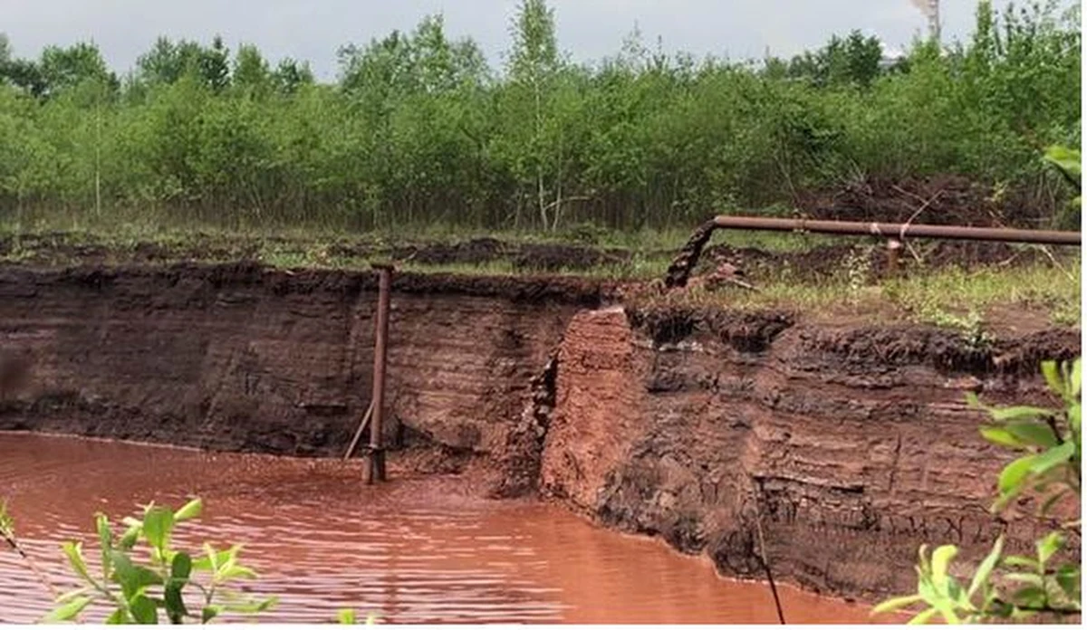 Prokuratura bada sprawę składowisk huty przy ulicy Dymarek. Jak wielokrotnie informowaliśmy, naukowcy wykryli tam "bardzo wysokie zawartości metali ciężkich, m.in. ołowiu, cynku, kadmu i rtęci". O tego typu substancjach, nie wiedział np. WIOŚ w Krakowie. Po kontroli składowiska stwierdzono jednak, że występują tam arsen, bar, cynk, chrom, miedź, molibden, nikiel, antymon, selen, żelazo, kadm, ołów i rtęć. Te jednak - według inspekcji - mieszczą się w normach.
