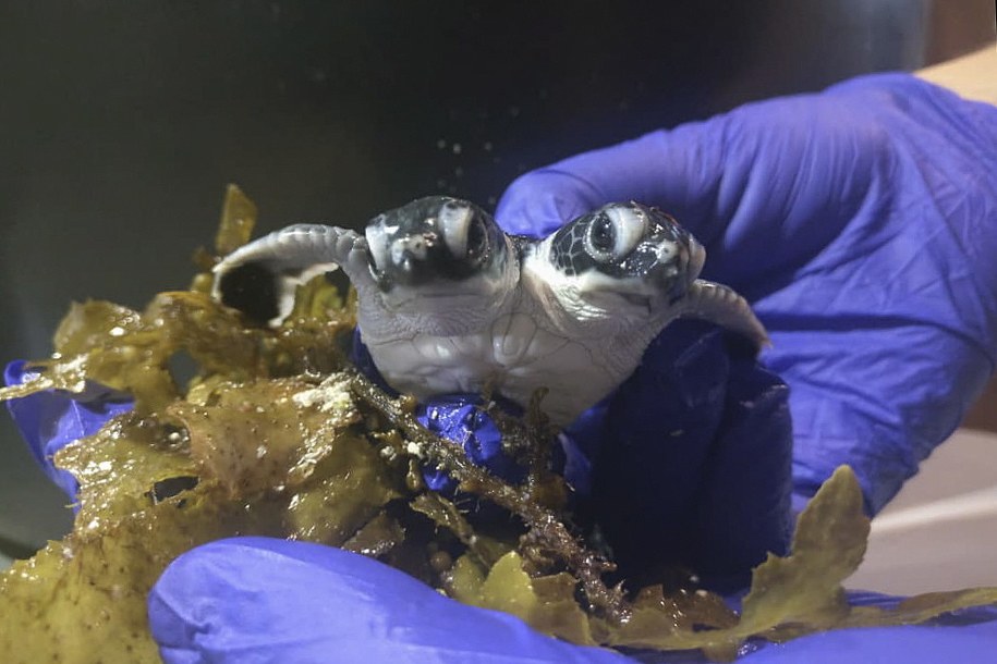 /Scuba Junkie /PAP/EPA