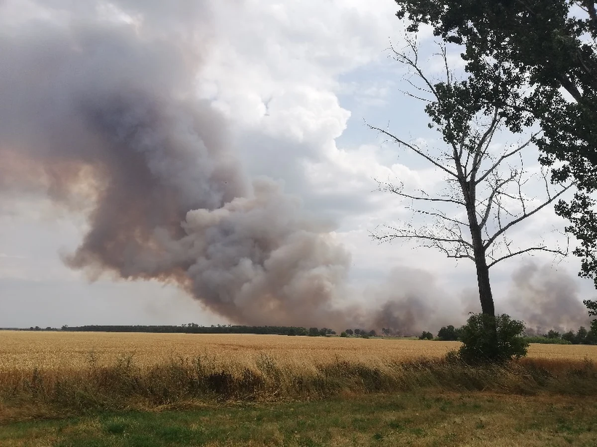 Pożar 100 ha zboża na pniu gasili w piątek wielkopolscy strażacy w Jadwigowie w powiecie średzkim. Także w piątek po południu straż pożarna walczyła z podobnym, choć mniejszym pożarem w Chociczy Wielkiej w powiecie wrzesińskim.