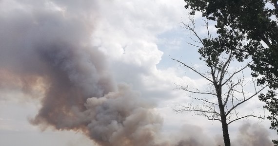 Pożar 100 ha zboża na pniu gasili w piątek wielkopolscy strażacy w Jadwigowie w powiecie średzkim. Także w piątek po południu straż pożarna walczyła z podobnym, choć mniejszym pożarem w Chociczy Wielkiej w powiecie wrzesińskim.