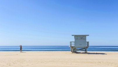 "Morza szum, złota plaża pośród drzew"... Ten quiz idealnie wpisze się w wakacyjne plażowanie!