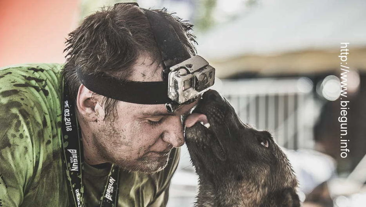 W Gdyni trwa największy festiwal biegowy w północnej Polsce. Za nami już kilka startów, ale jutro czekają nas kolejne emocje. Na trasie pojawią się m.in.  biegacze... ze swoimi psami. Razem pokonają trasę pełną przeszkód.