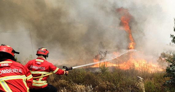 Liczba osób, które ucierpiały w rozprzestrzeniających się od soboty w Portugalii kilkudziesięciu pożarach, wzrosła do 20. Ośmiu rannych to strażacy.