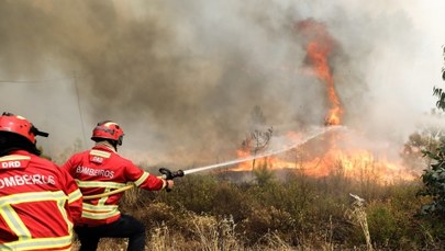 Pożary lasów w Portugalii. Są ranni 