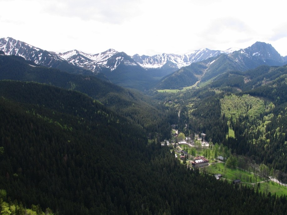 Tragedia na koloniach. Nie żyje 12-latka