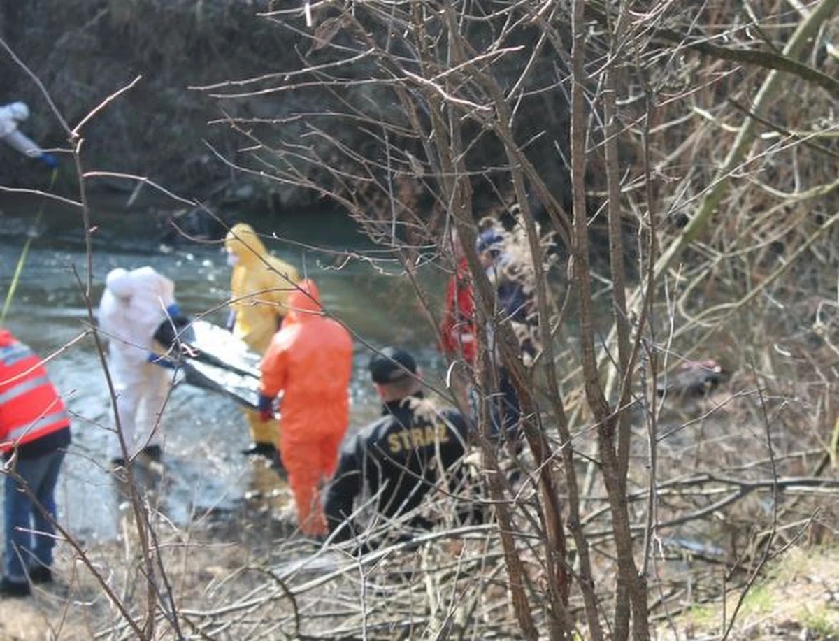 W Londynie zatrzymano męża Grażyny Kuliszewskiej. Mężczyzna jest podejrzany o zamordowanie żony – dowiedzieli się dziennikarze śledczy Onetu i Fakt24. 