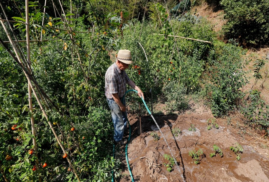 /SEBASTIEN NOGIER  /PAP/EPA