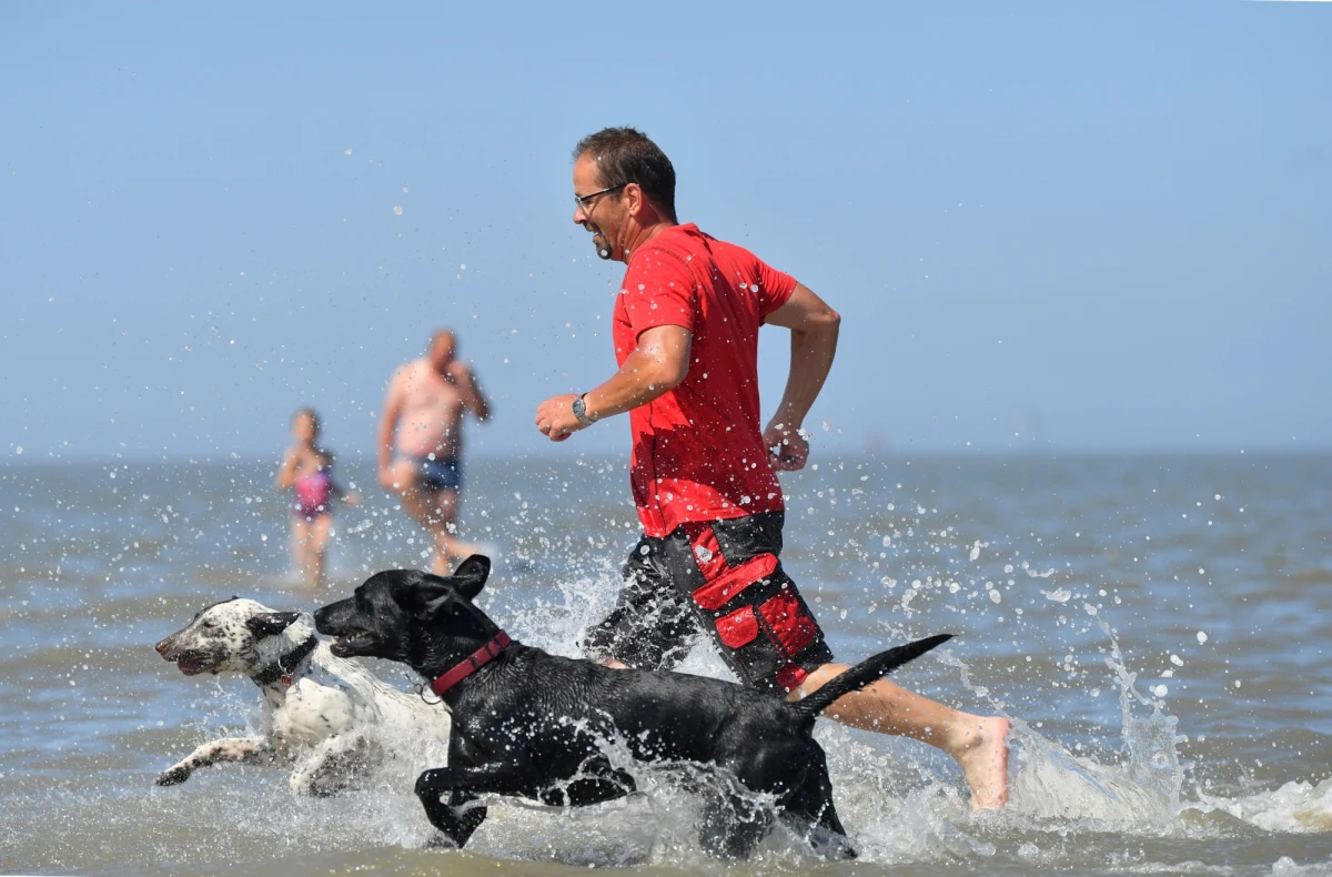 Intensywna kanikuła zapanowała na północnym zachodzie Europy, przyczyniając się do pogorszenia już i tak poważnej suszy. Po południu we francuskim Bordeaux temperatura wyniosła 41,2 stopnia Celsjusza.