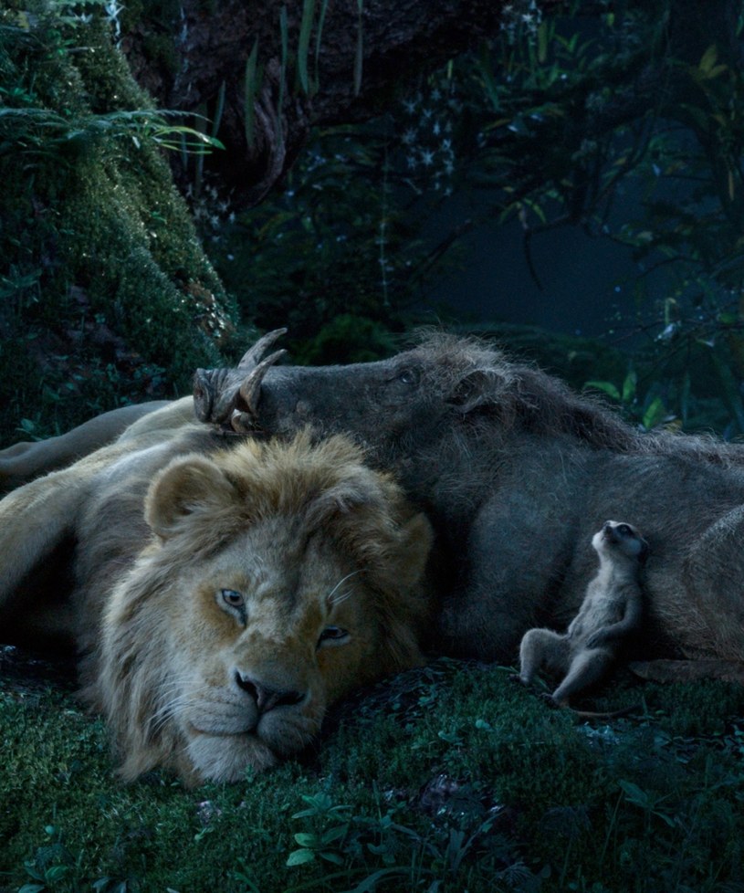 "Król Lew" w nowej odsłonie zapowiada się na największy animowany przebój w historii wytwórni Disneya. Produkcja pobiła rekord otwarcia dla najlepiej zarabiającego filmu w kategorii bez ograniczeń wiekowych. Dwa tygodnie po premierze zarobiła już ponad 531 milionów dolarów.