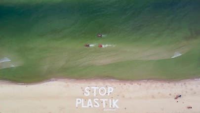 "Strefa bez plastiku". Nurkowie zeszli na dno Bałtyku, żeby je sprzątać