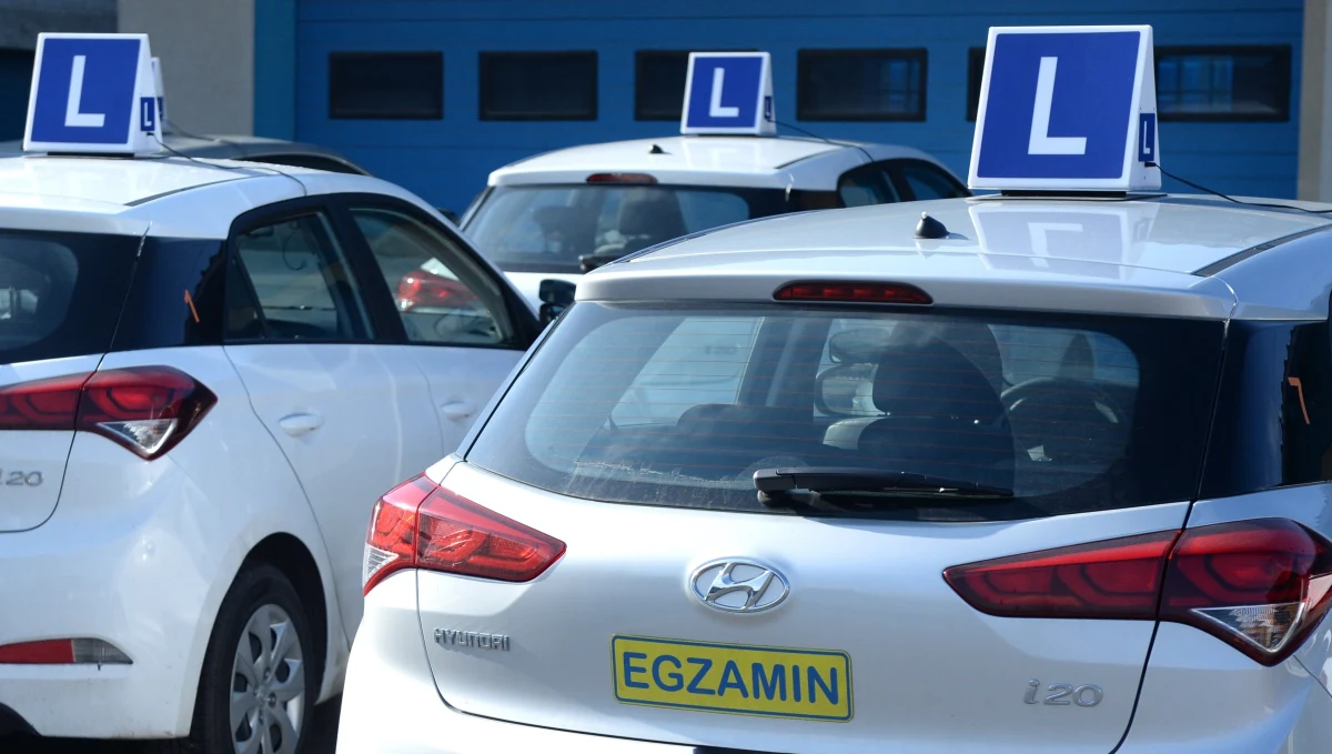 68-letnia kobieta, która kilka tygodni temu w Rybniku w woj. śląskim zdając egzamin na prawo jazdy śmiertelnie potrąciła egzaminatora na placu manewrowym, usłyszała zarzut spowodowania wypadku w ruchu lądowym ze skutkiem śmiertelnym. Do wypadku doszło pod koniec czerwca w Wojewódzkim Ośrodku Ruchu Drogowego w Rybniku. Zginął tam 35-letni egzaminator.