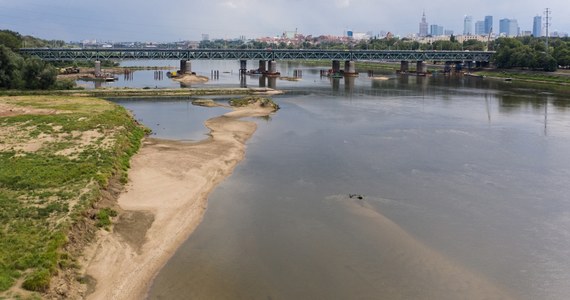 W całej Polsce jest bardzo zła sytuacja, jeśli chodzi o niski poziom wody w rzekach. Będzie się ona pogarszała lawinowo w ciągu najbliższych dni ze względu na prognozowane upały – mówi hydrolog z IMGW Paweł Staniszewski.