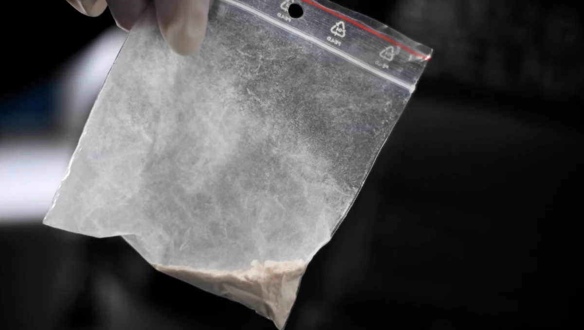 Policjanci z grupy tzw. łowców cieni Centralnego Biura Śledczego Policji namierzyli i zatrzymali trzech mężczyzn, w tym dwóch poszukiwanych przez Wielką Brytanię - poinformowała kom. Iwona Jurkiewicz z CBŚP. Byli poszukiwani m.in. w związku z przemytem narkotyków i handlem ludźmi.