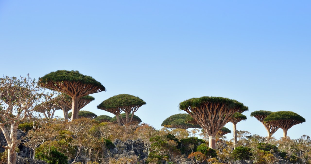 Rajska wyspa, o której mało kto słyszał. Nie łatwo się tam dostać