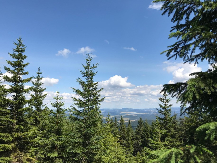 /Mateusz Czmiel /RMF FM