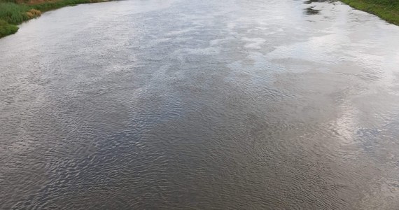 Ogromna plama substancji ropopochodnej na Odrze między Lubiążem a Ścinawą na Dolnym Śląsku.