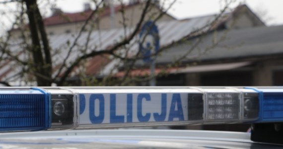 Siedmioletni chłopiec zginął w niedzielę po południu w Rybniku (Śląskie) po potrąceniu przez samochód osobowy. Policja zatrzymała cztery jadące nim osoby – ustala szczegółowe okoliczności zdarzenia.