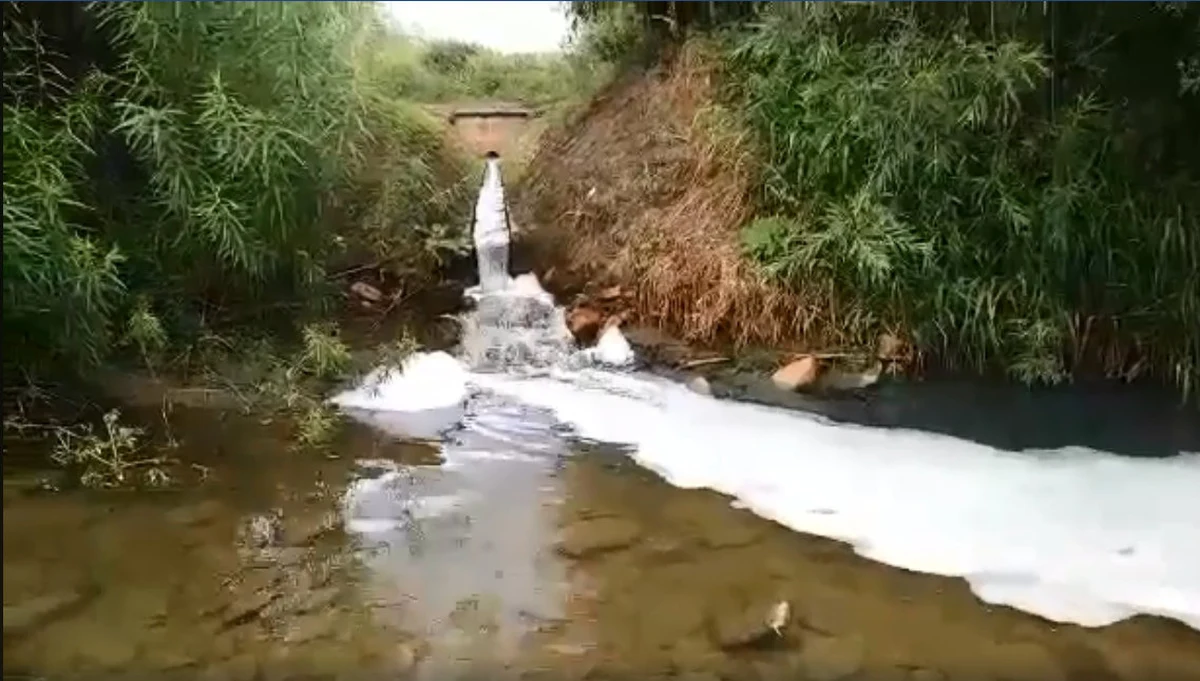 Do internetu trafił film, na którym widać, jak spieniona ciecz z oczyszczalni ścieków w Łącku trafia do Dunajca. Wójt gminy uspokaja, że to incydent, który nie zagraża środowisku. Dodaje, że za kilka tygodni zacznie działać nowa oczyszczalnia. Mieszkańcy są jednak zaniepokojeni i twierdzą, że takie sytuacje się powtarzają. 