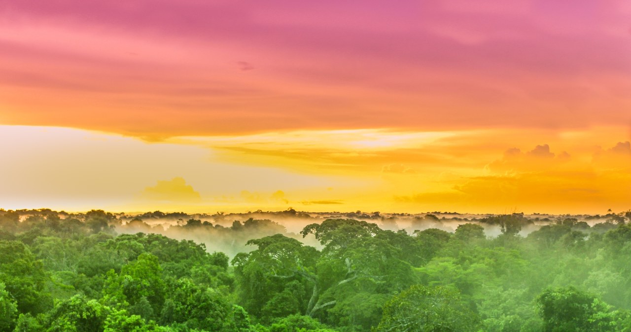 Amazonia na krawędzi. Najnowsze prognozy mogą szokować