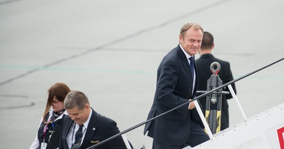 Prezes apeluje, Polsat sprawdza