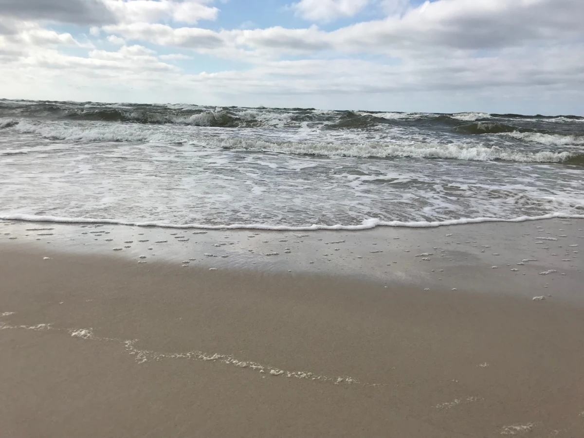 Miały medale, tytuły mistrzyń świata i całe życie przed sobą. Na zakończenie obozu sportowego w Sewastopolu poszły jeszcze raz popływać. I już nigdy nie wróciły. Oto szczegóły utonięcia Fatimy Żagupowej i Eliny Gismiejewej - mistrzyni i wicemistrzyni świata w kickboxingu.