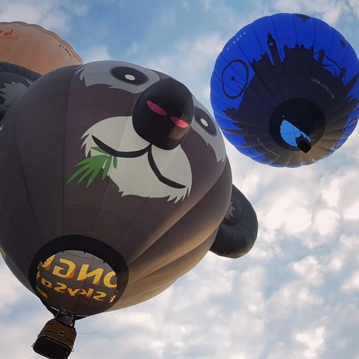 W Bristolu trwa międzynarodowy festiwal balonowy. Czterodniowa impreza skupia uczestników z całego świata. Można na niej zobaczyć balony o naprawdę fantazyjnych kształtach. 