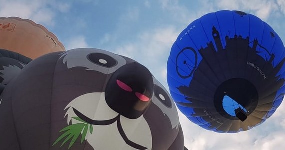 W Bristolu trwa międzynarodowy festiwal balonowy. Czterodniowa impreza skupia uczestników z całego świata. Można na niej zobaczyć balony o naprawdę fantazyjnych kształtach. 