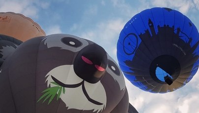 Miś koala, Lord Vader i inni. Niezwykłe balony nad Bristolem