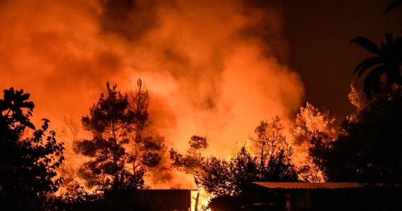 Trwa akcja gaszenia dużego pożaru lasów na greckiej wyspie Eubea - poinformowały w środę miejscowe władze. Ewakuowano setki ludzi z czterech miejscowości. Stan wyjątkowy ogłoszony został w kilku regionach tej gęsto zalesionej wyspy leżącej na wschód od Aten. Ambasada RP w Atenach ostrzega przed podróżami w tamte rejony.