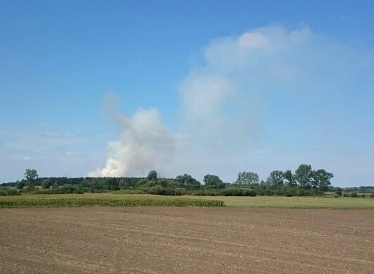 Straż pożarna walczy z pożarem w Pomarzanowicach w powiecie poznańskim. Płoną tam nieużytki.