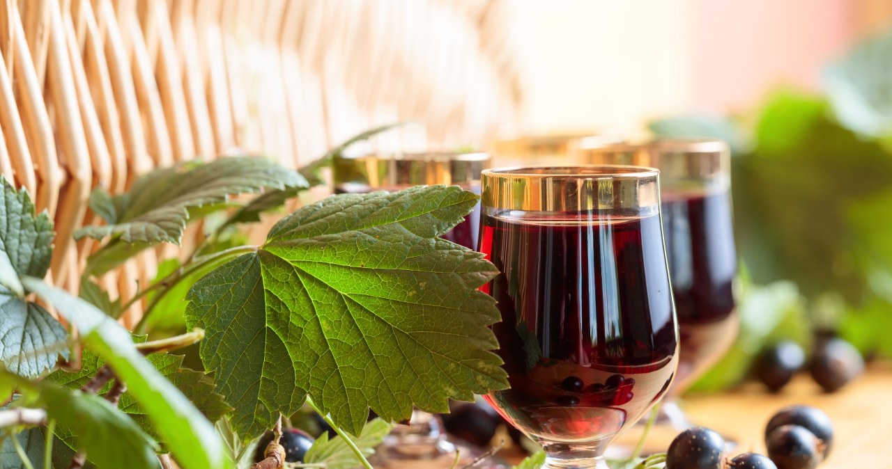 Dbają o serce i jelita, a do tego wspierają odporność. Zrób z nich sok, póki trwa sezon