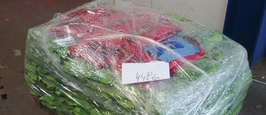 ​Ponad 1,3 tony aromatyzowanego tytoniu do fajek wodnych bez polskich znaków akcyzy o rynkowej wartości prawie 1 mln zł ujawnili mazowieccy funkcjonariusze celno-skarbowi Krajowej Administracji Skarbowej - poinformowała KAS w piątkowym komunikacie.