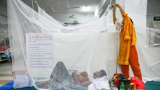 Bangladesz: Fala zachorowań na dengę
