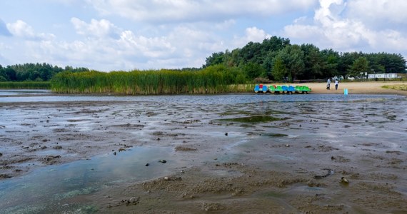 Poprawia się sytuacja hydrologiczna na większości rzek w południowej i wschodniej Polsce. Po ostatnich opadach stany większości z nich wzrosły do średniego poziomu. Problem występuje wciąż na rzekach w zachodniej części kraju - podkreśla w rozmowie z RMF FM Izabela Ryn z Instytutu Meteorologii i Gospodarki Wodnej.