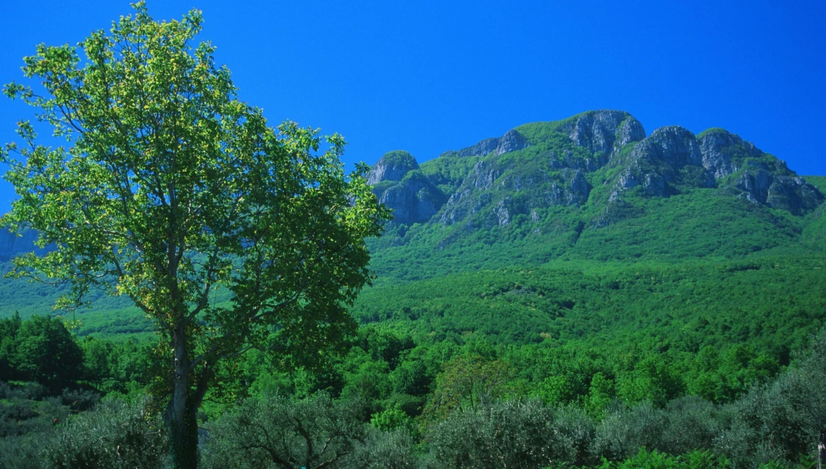 Polemikę we Włoszech na temat sprawności działania służb ratunkowych wywołała śmierć francuskiego turysty, którego ciało znaleziono w wąwozie po dziewięciu dniach poszukiwań. Mężczyzna wzywał pogotowie, bo złamał obie nogi, ale nie ustalono, gdzie się znajduje. 