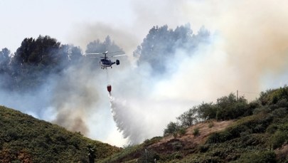 Największy od lat kataklizm w Hiszpanii. Katastrofalny bilans pożarów na Gran Canarii