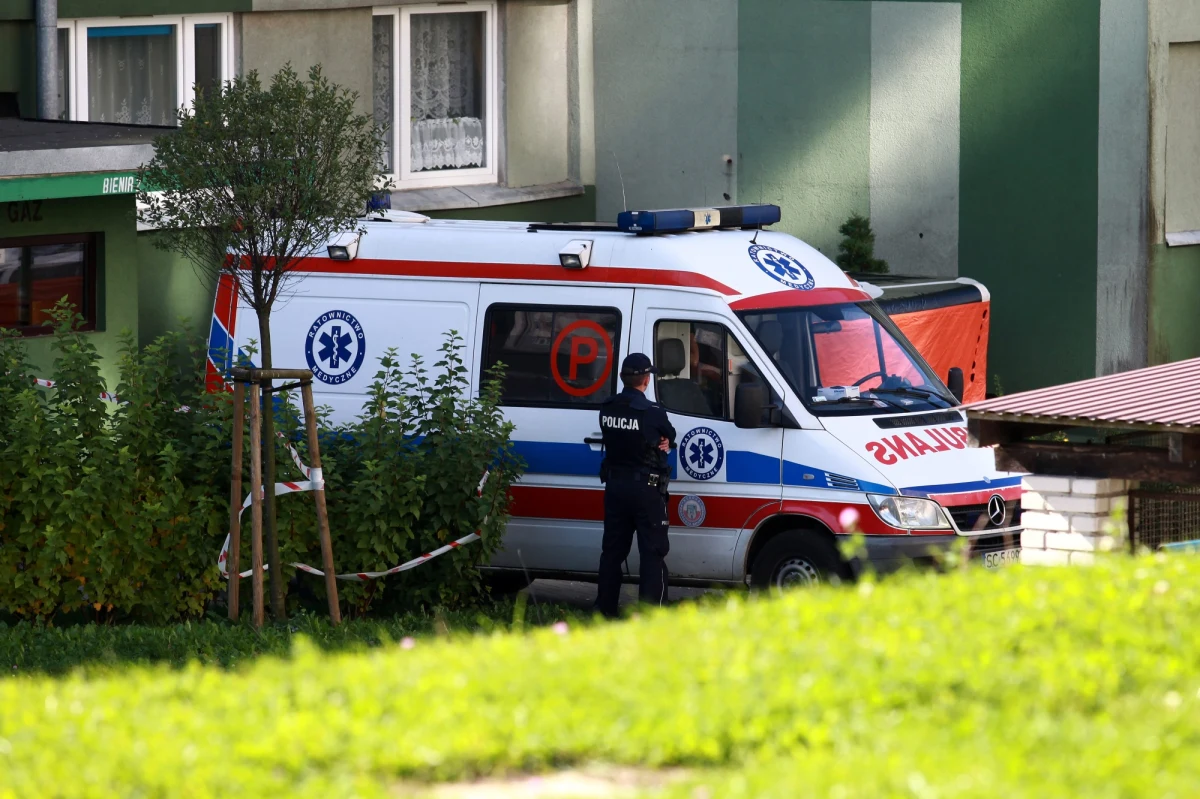 ​Policja w Częstochowie wyjaśnia sprawę 2-latka, który wypadł z okna jednego z bloków. Dziecko z obrażeniami trafiło do szpitala. W trakcie zdarzenia opiekun chłopca był nietrzeźwy.