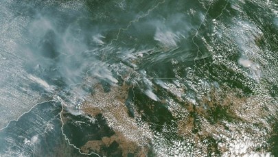 Płoną lasy Amazonii. Dym widać nawet z kosmosu