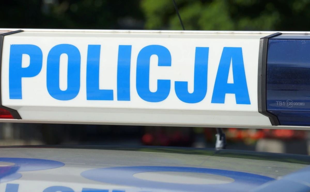 Ogromny arsenał broni z czasów II wojny światowej odkryła policja w miejscowości Wronie w woj. kujawsko-pomorskim. Jedna osoba została zatrzymana. 