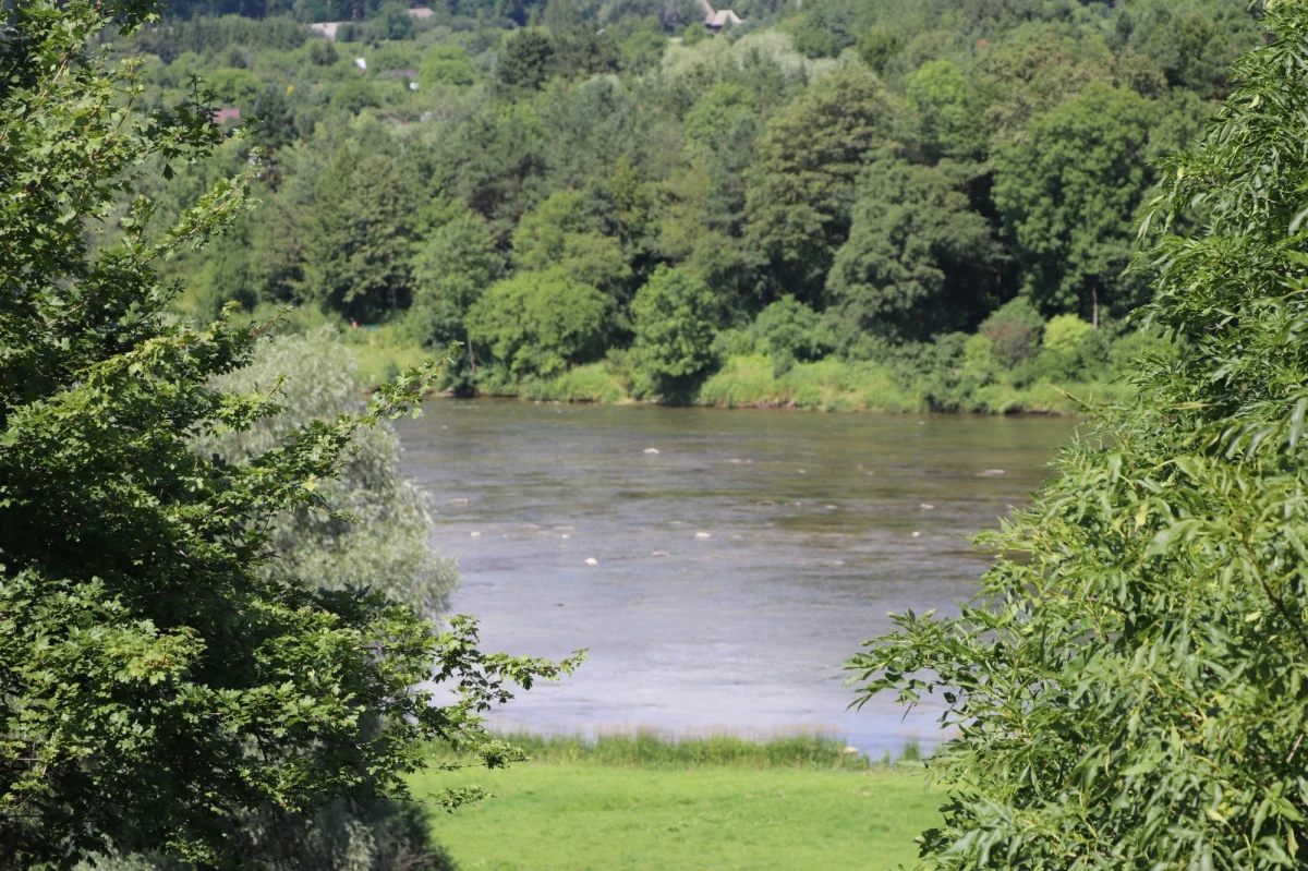 Zanieczyszczenie rzeki Kłodnicy w Gliwicach w woj. śląskim. Strażacy musieli ustawić tam dwie zapory, gdy zauważono ślady ropopochodnej substancji. Sprawą zainteresowała się też policja.