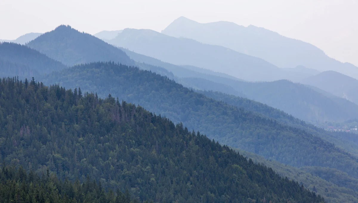Czeski turysta został strącony przez piorun z liczącej 2178 m n.p.m. Banówki w słowackich Tatrach Zachodnich i spadł kilkaset metrów jej południowym urwiskiem. Mężczyzna zginął - podało słowackie pogotowie górskie Horska Zachranna Slużba (HZS). 
