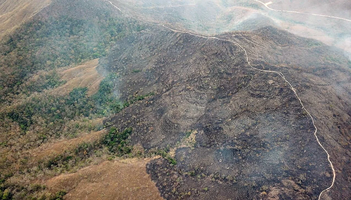 Brazylijskie wojsko wyraża gotowość do walki z rekordową liczbą pożarów w Amazonii - poinformował szef armii Edson Leal Pujol. Taką możliwość, w związku z rosnącą presją międzynarodową, rozważa także prezydent Brazylii Jair Bolsonaro. 
