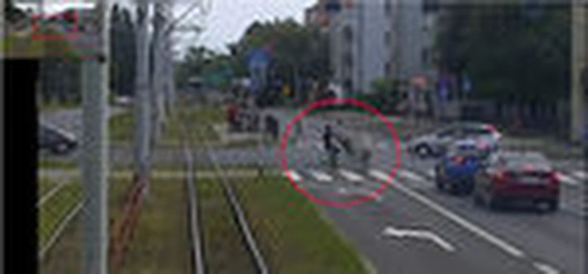 Do nieszczęśliwego wypadku doszło w Toruniu. Rowerzysta, który wiózł na kierownicy kolegę, wjechał w 86-latkę na przejściu dla pieszych. Dzień po wypadku kobieta zmarła w szpitalu. Jak podaje Onet, nastolatkowie są już w rękach policji.