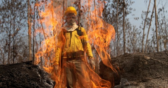 Władze w Brazylii wprowadziły na 60 dni zakaz wypalania gruntów w całym kraju w związku z pożarami lasów w Amazonii. Dekret w tej sprawie podpisał prezydent Jair Bolsonaro. 