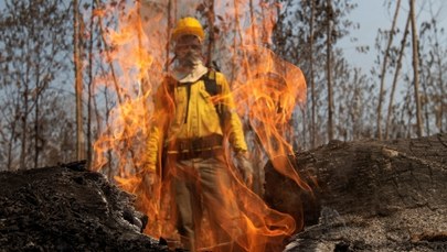 Pożary w Amazonii. Brazylia wprowadza zakaz wypalania gruntów