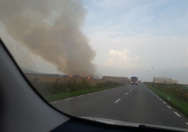 Pożar w Jordanowie Śląskim. Płoną zakłady wyrobu pelletów