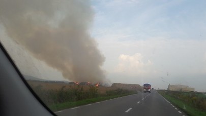 Pożar w Jordanowie Śląskim. Płoną zakłady wyrobu pelletów