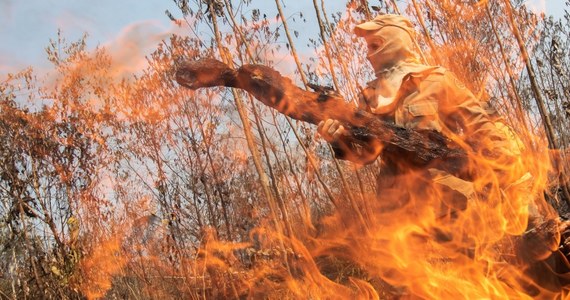Podczas gdy satelitarne zdjęcia Amazonii w płomieniach budzą na całym świecie niepokój o przyszłość planety, brazylijscy ekolodzy alarmują również z powodu pożarów sawanny. Ogień pochłania sawannę Cerrado wraz z jej pastwiskami, pokrywającą 25 proc. Brazylii.
