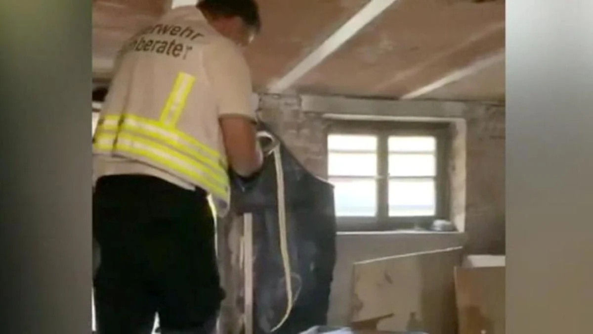 Przez sześć dni była nieuchwytna. Jadowita kobra, która uciekła z mieszkania w niemieckim mieście Herne, została znaleziona. Ukryła się w piwnicy budynku, którego mieszkańcy w końcu mogli wrócić do swoich domów.  