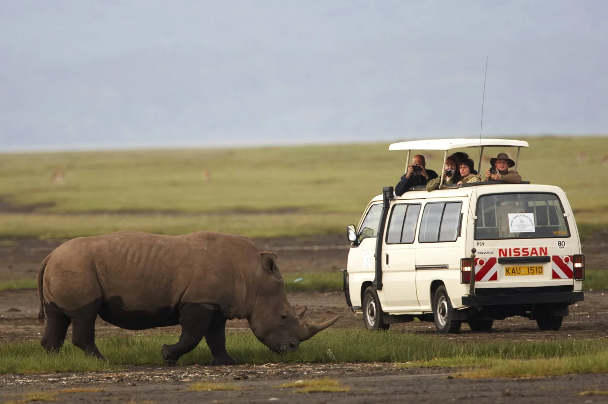 7 osób zginęło w niedzielę w wąwozie "Wrota piekieł" w parku narodowym o tej samej nazwie znajdującym się w południowo-zachodniej Kenii, w hrabstwie Nakuru. Piątka turystów i przewodnik zostali porwani przez rwące wody, które napełniły wąwóz po nagłej ulewie.